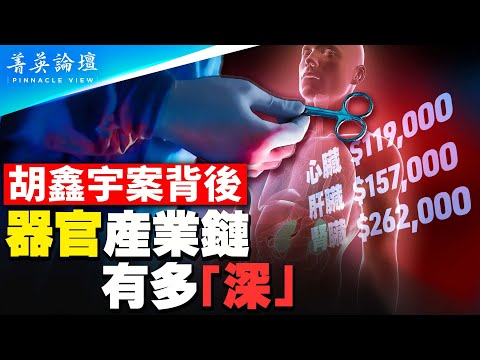 中共高官器官特供基地？胡鑫宇案為何全民關注，致遠中學背后的器官產業鏈有多深；大紀元2006年率先揭開中共活摘器官黑幕，郭君披露內情。【 #菁英論壇 】#新唐人電視台 2/4/2023