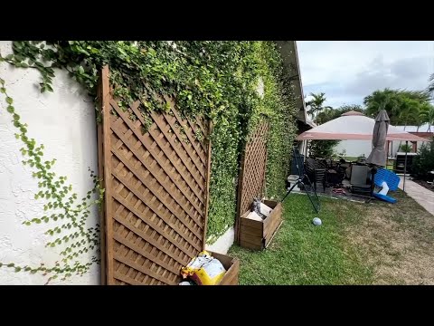 Neighbor blocks her windows