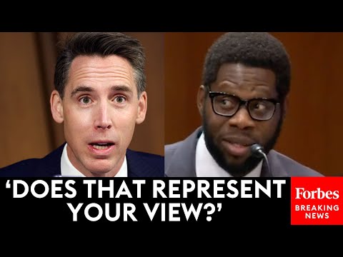 Josh Hawley Grills Biden Judicial Nominee About Org's Statements About 'America's Racist History'