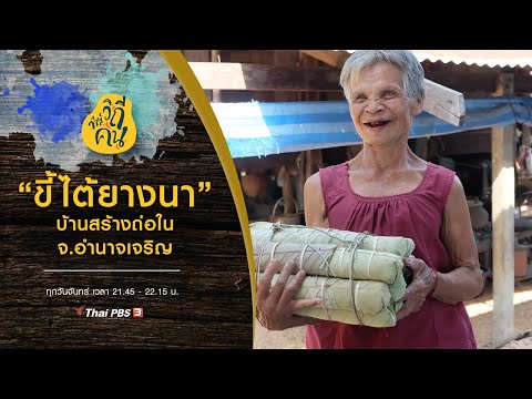 "ขี้ไต้ยางนา" ขุมทรัพย์จากป่า บ้านสร้างถ่อใน จ.อำนาจเจริญ : ซีรีส์วิถีคน (23 ธ.ค. 62)
