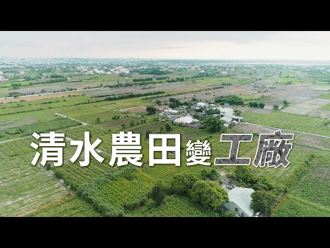 【農地開發】清水良田變工廠｜是誰讓農田一一消失(我們的島 1112集 2021-07-05)