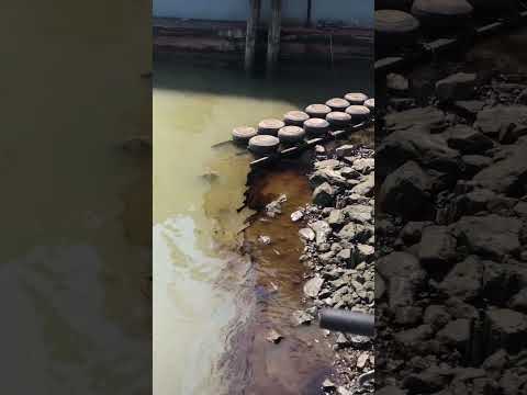 Oil leak at New Westminster Quay