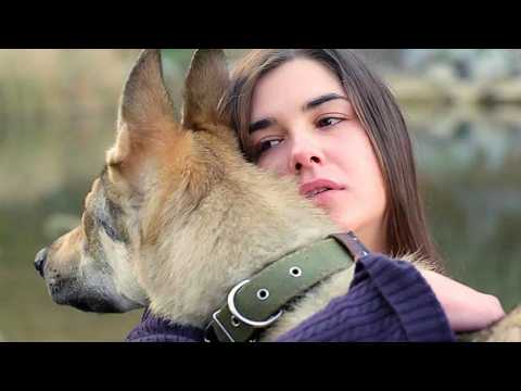 ¿PODRÁ EL AMOR SOBREVIVIR AL FUEGO? UNA HISTORIA REAL DE LA SEGUNDA GUERRA MUNDIAL💥 DZHULBARS