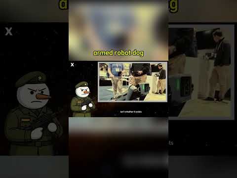 Armed Robot Dogs: Pros and Cons from an Expert Perspective