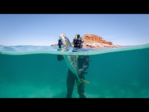 The Beginner's Guide to Spearfishing: 5 Secrets I Wish I Knew!