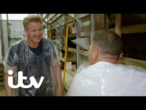 Gordon, Gino and Fred: Road Trip | Learning How to Make Buffalo Mozzarella Cheese | ITV