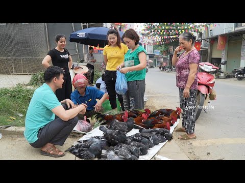 Continue selling chickens and pigeons. Farm life. Robert | Green forest life