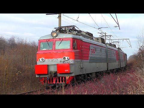 ВЛ11-343/341 А с грузовым поездом