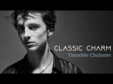 Analyzing the Magnetic Attractiveness of Timothée Chalamet