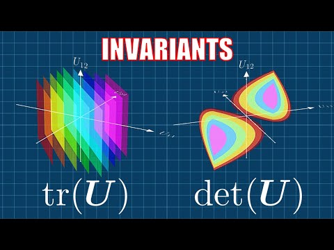The First Ever Visualization Of Tensor Invariants