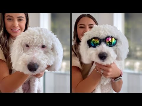 His Aura is Too Strong