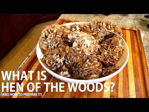 What is Hen of The Wood (And How to Prepare It)