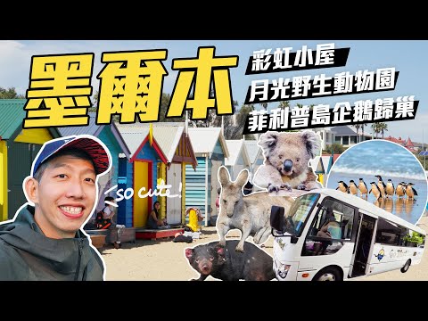 澳洲墨爾本【菲利普島一日遊 Phillip Island Penguin Parade Tour】｜開箱當地一日跟團行程 彩虹小屋、野生動物園、企鵝歸巢 三大景點一次滿足！