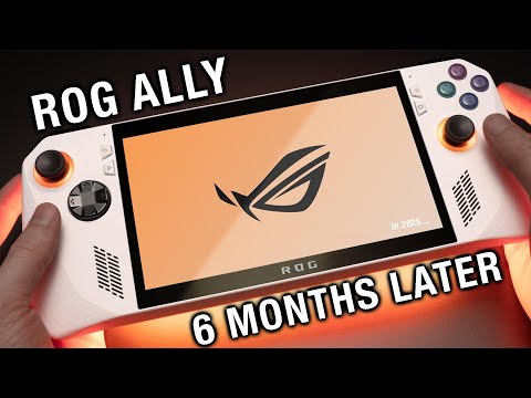 Rog Ally 6 Months Later - BEST PC HANDHELD IN 2025