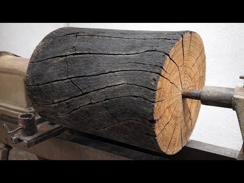 Desert Cracks // This Cracked old Log Completely Surprised me