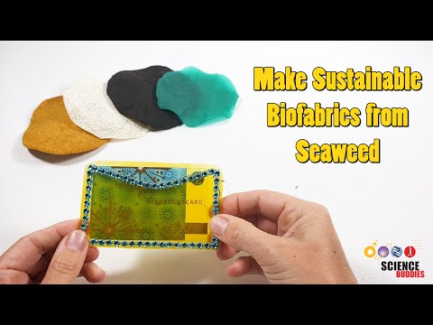 Making Sustainable Biofabrics from Seaweed | Science Project