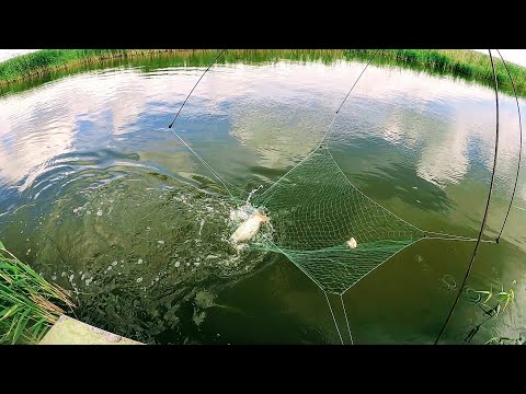 Рыбалка на ПАУК ПОДЪЁМНИК, сазан ну просто одолел. Рыба на каждом подъёме. Рыбалка 2021.