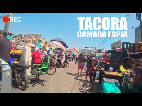 🔥 LA VERDAD DE TACORA | La Picante Cachina | ¡Lo que nunca viste! | Dilo Nomás