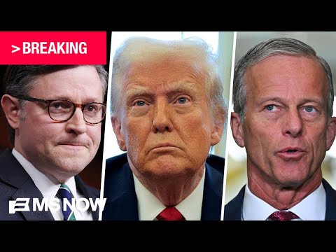 BREAKING: Johnson and Thune announce 'path forward' to full fund DHS