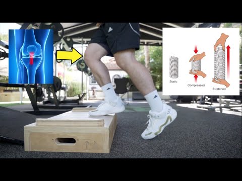 The Missing Link for Patellar Tendon Spring and Health (Great Exercise for Jumpers Knee)