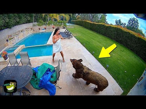 One in a Billion Animal Moments Caught on Camera #7