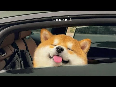 𝐏𝐥𝐚𝐲𝐥𝐢𝐬𝐭 그때 그 순간 빠져들었던 팝송 | 첫 소절부터 미소가 지어지는 상쾌한 팝 🎶