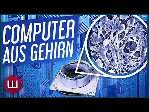 Erster Computer aus Gehirnzellen schlägt schon jetzt klassische KI