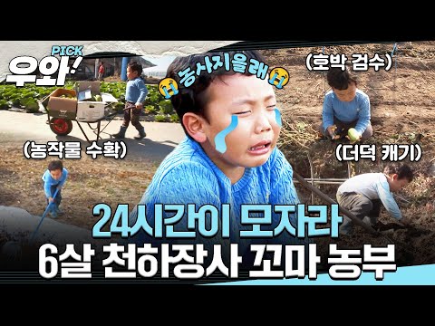 [⭐‍️#우와픽] 무엇이 좋니~? 나는 유치원보다 농-사!🧑‍🌾 자동차부터 농작물도 번쩍 들어 올리는 천하장사 꼬마농부!💪 #순간포착세상에이런일이 #우와한비디오 #우와픽