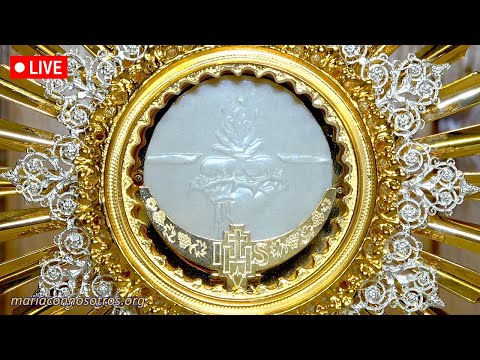 Perpetual Adoration Live / Live Eucharistic Adoration / Live Adoration of the Blessed Sacrament