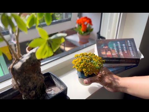 My slow city life / thoughts on resilience / cooking salmon soup