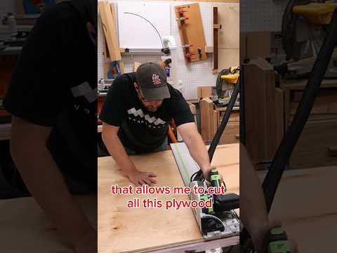 Ever seen a CENTIPEDE? check the description 👆