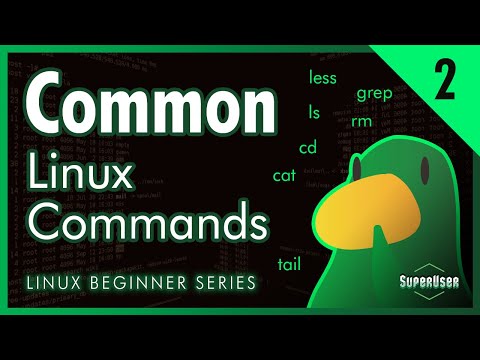 Linux for Programmers #2 | Linux Filesystem and Common Commands