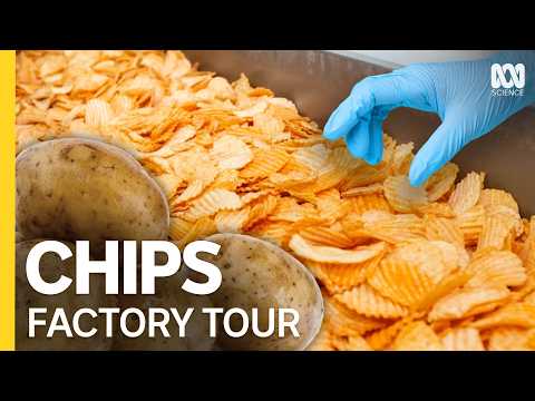 Inside The Potato Chip Factory That Runs 24/7 | Full Episode
