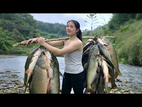 A highland girl's fishing skills: she caught a huge school of fish in the stream.