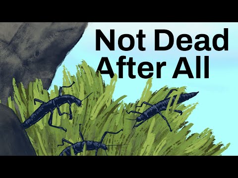 When We Get Extinction Wrong