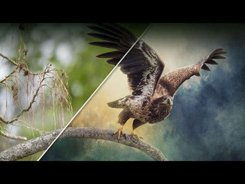 The Photoshop Technique You Didn't Know You Wanted