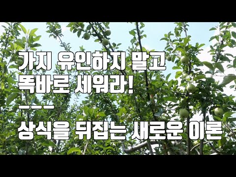 가지 유인하지 말고 똑바로 세워라!(상식을 뒤집는 새로운 이론)
