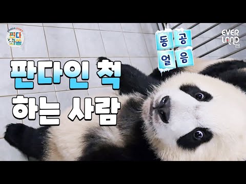 Rui Bao, please come out of the zipper