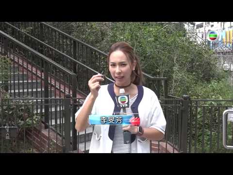 東張西望 | 街頭借錢黨大捕獲(II) | 元朗 | 騙徒手法層出不窮