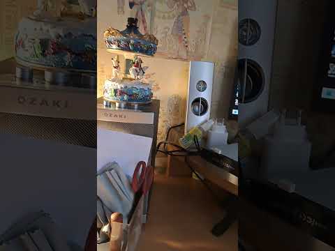 Disk Management & MoveSpeed USB 512 GB