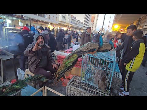 سوق الغزل يوم الجمعة انواع الحيوانات والطيور مع الاسعار 19 ديسمبر 2025