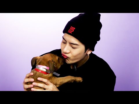Jackson Wang Plays With Puppies While Answering Fan Questions
