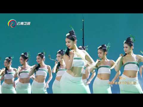 【20206云南省春节文艺晚会】舞蹈《青清》