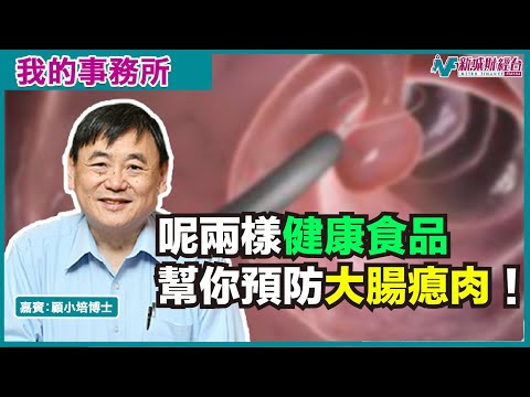 【我的事務所】咩係大腸瘜肉(息肉)？食呢啲健康食品可以預防！｜顧小培 劉婉芬