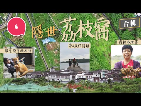 傳說新界有個世外桃源荔枝窩！非常父母帶4歲仔隱居荔枝窩過自由童年 大廚獨守荒村炮製私房菜 復耕義工變狗奴餵養絕育救村狗 #專題─果籽 香港 Apple Daily