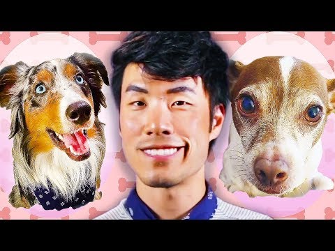 The Try Guys Switch Pets For A Day