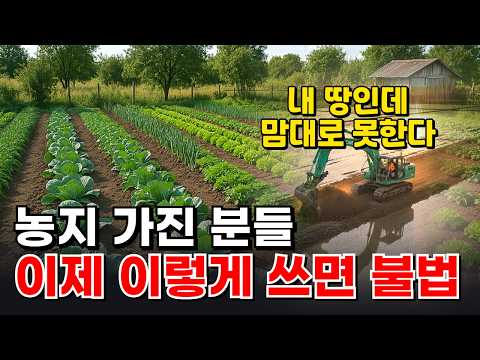 2026년 농지법, 이거 모르고 농지 건드리면 큰일 납니다｜귀농·귀촌·농지 가진 분들 필수 #2026년농지법 #농지제도 #농지법 #농지제도개편 #농지법개정