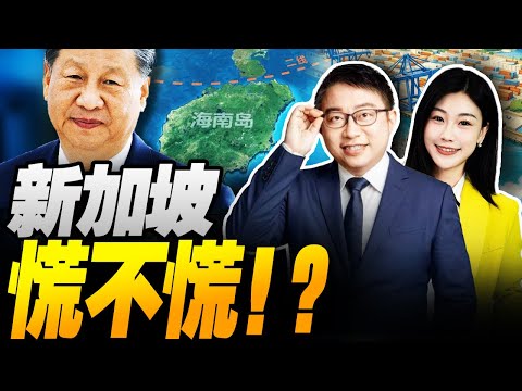 貨輪集體改道!新加坡好日子到頭! | 習近平這一步 全球貿易巨變! #沈逸观察