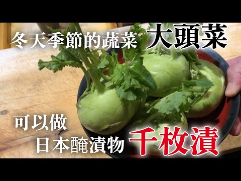 【只有冬天才有機會】跟本來使用的蔬菜不一樣　但是用台灣大頭菜就可以做一模一樣的日本醃漬物"千枚漬"