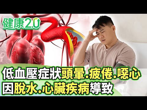 低血壓症狀頭暈、疲倦、噁心 因脫水、心臟疾病導致【健康2.0分段】@tvbshealth20  EP3141-2 20251214 #陳欣湄#韋汝#江守山#林謂文#吳宏乾#陳麗華#雷議宗